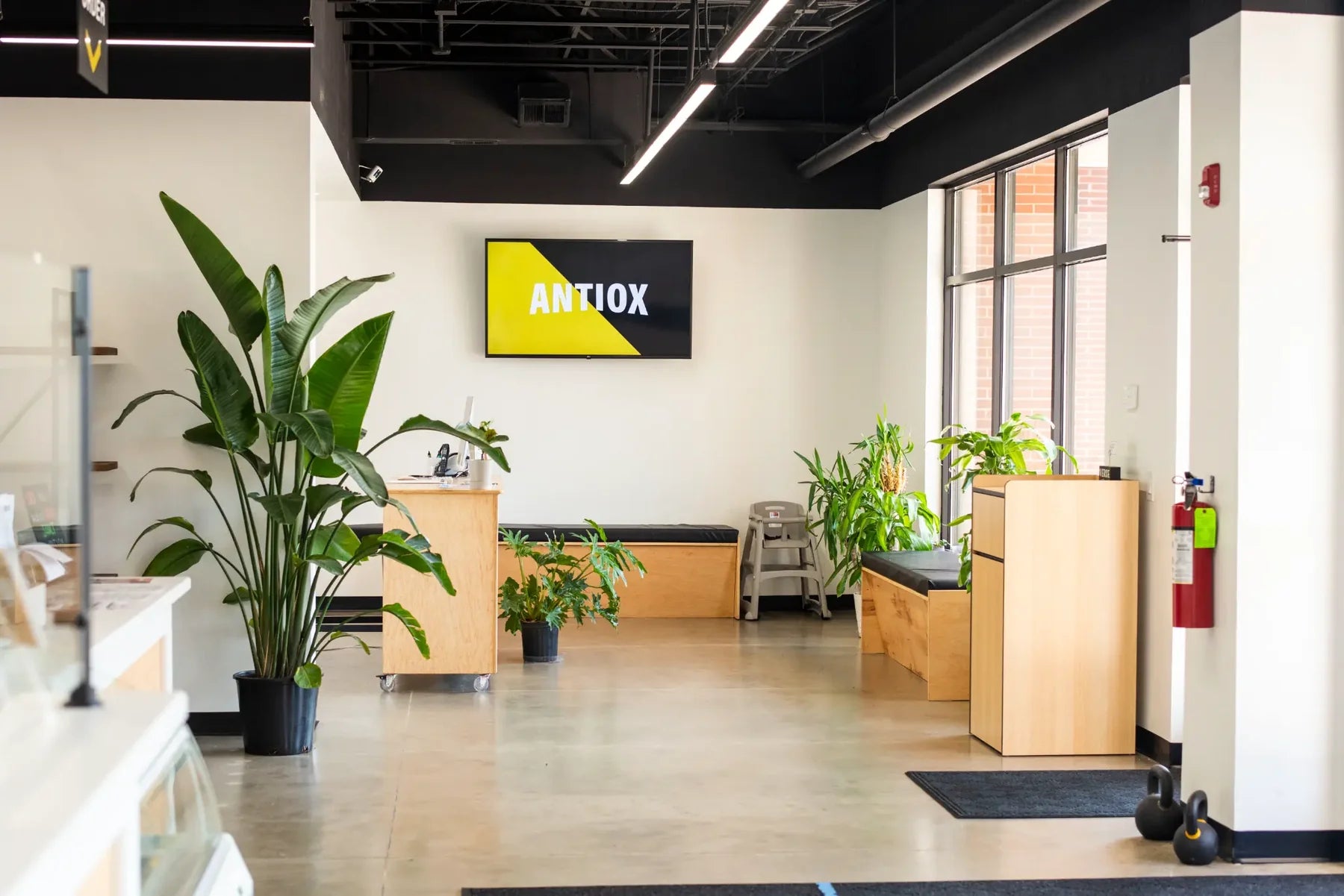 ANTIOX reception in Hagerstown with green plants, wood counters and the studio wordmark